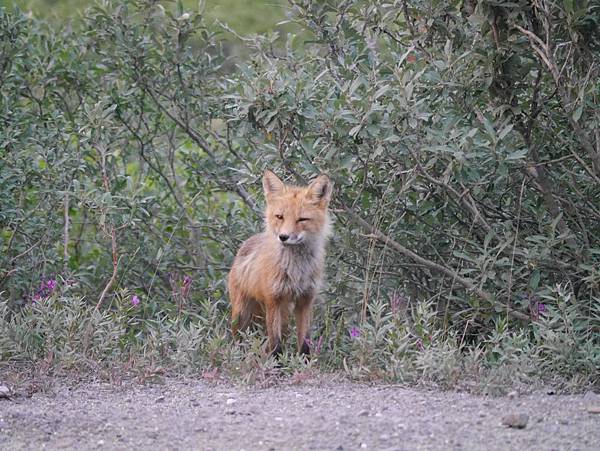 P2590335.JPG P2590335.JPG