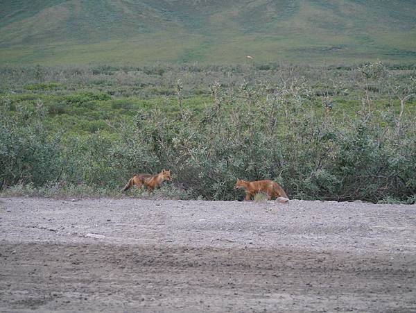 P2590339.JPG P2590339.JPG