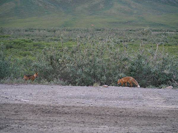 P2590338.JPG P2590338.JPG