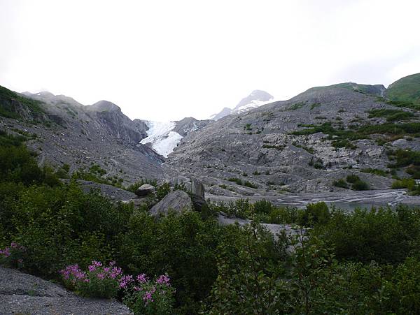 P2590376.JPG P2590376.JPG