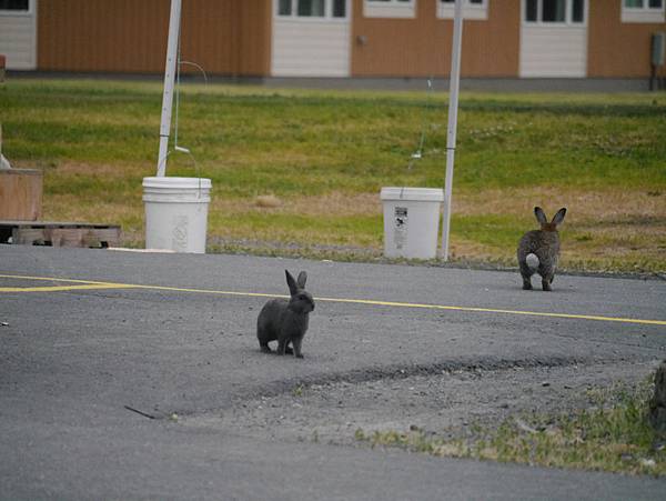 P2590402.JPG P2590402.JPG