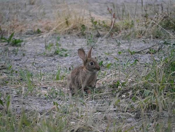 P2590404.JPG P2590404.JPG