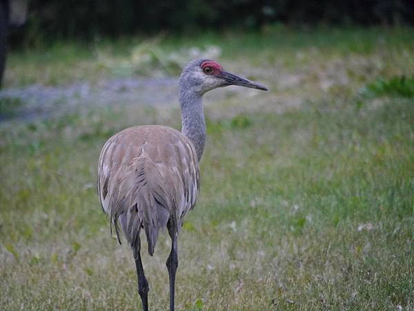 P2590411.JPG P2590411.JPG