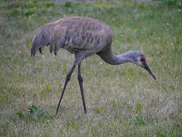 P2590413.JPG P2590413.JPG