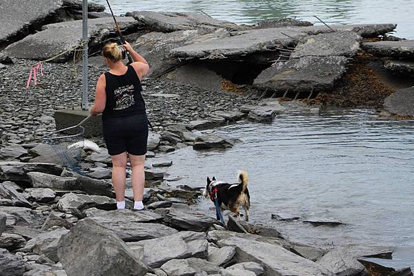 IMG_9168.JPG IMG_9168.JPG