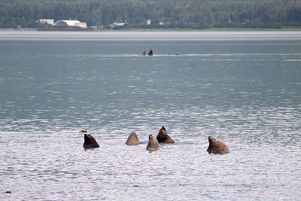 IMG_9194.JPG IMG_9194.JPG