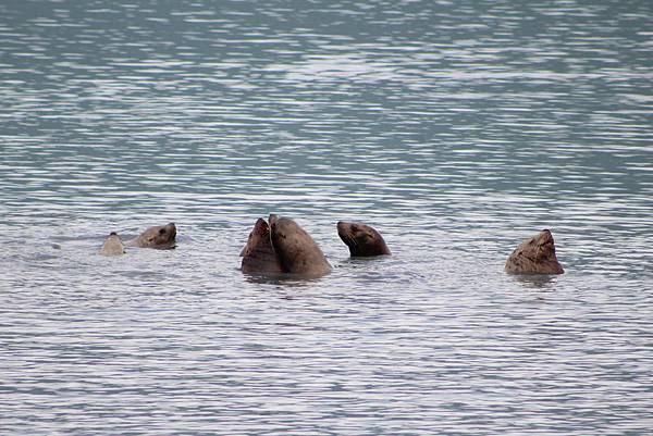 IMG_9208.JPG IMG_9208.JPG