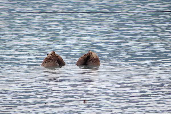 IMG_9240.JPG IMG_9240.JPG