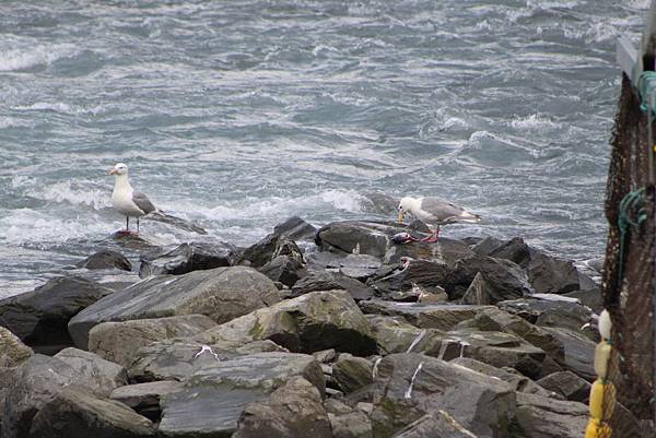 IMG_9305.JPG IMG_9305.JPG