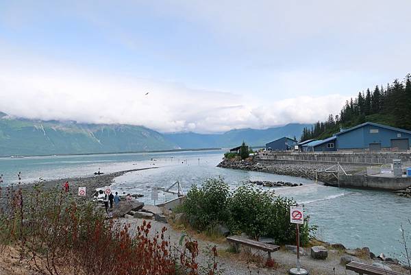 IMG_9955.JPG IMG_9955.JPG