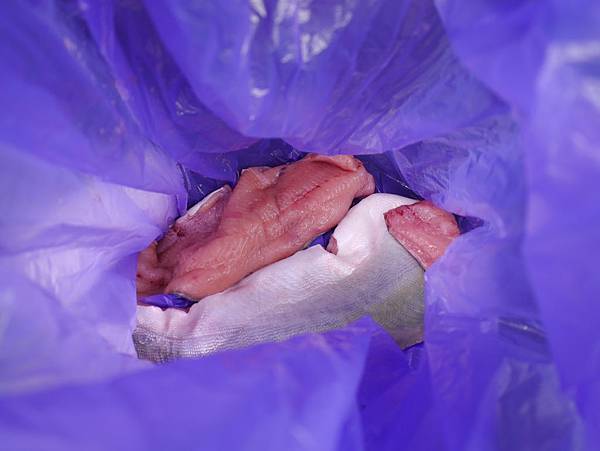 P2590423.JPG P2590423.JPG