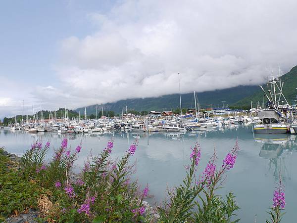 P2590466.JPG P2590466.JPG