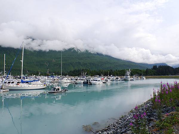 P2590468.JPG P2590468.JPG