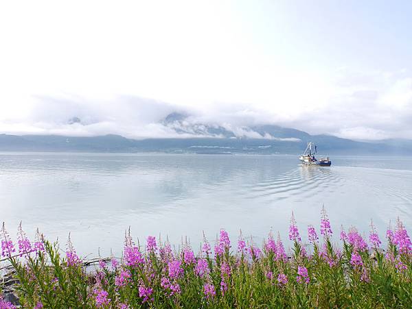 P2590479.JPG P2590479.JPG