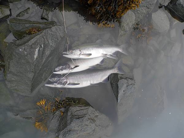 P2590533.JPG P2590533.JPG