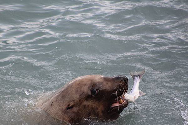 IMG_9249.JPG IMG_9249.JPG