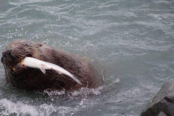 IMG_9250.JPG IMG_9250.JPG