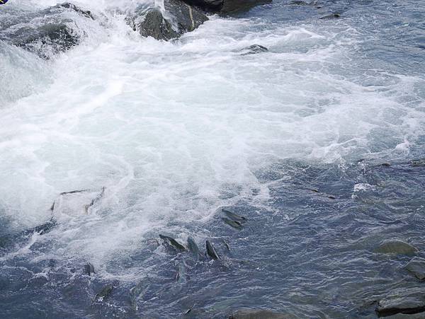 P2590582.JPG P2590582.JPG