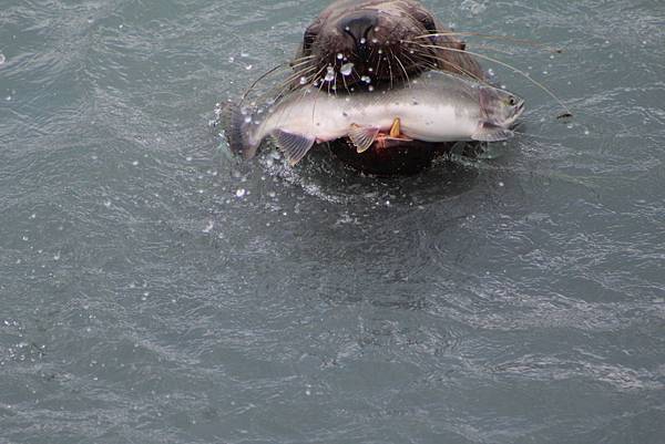 IMG_9256.JPG IMG_9256.JPG