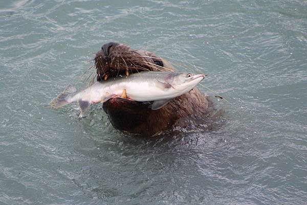 IMG_9257.JPG IMG_9257.JPG