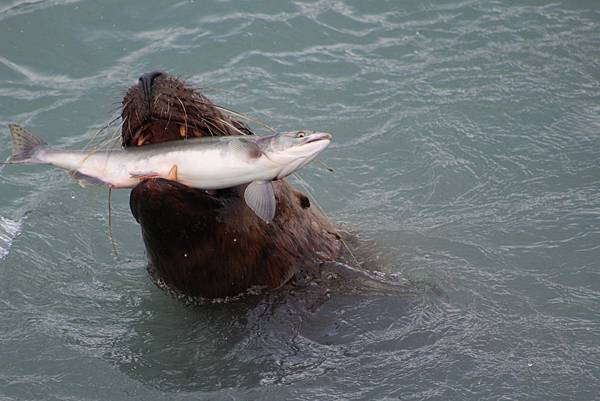 IMG_9258.JPG IMG_9258.JPG