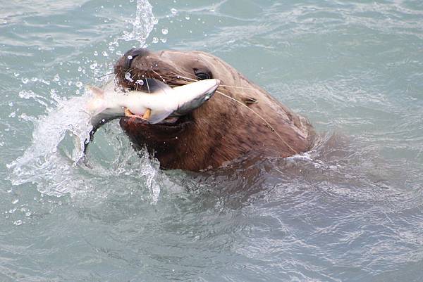 IMG_9259.JPG IMG_9259.JPG