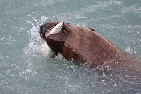 IMG_9260.JPG IMG_9260.JPG