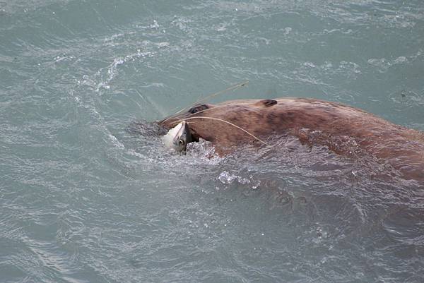 IMG_9261.JPG IMG_9261.JPG