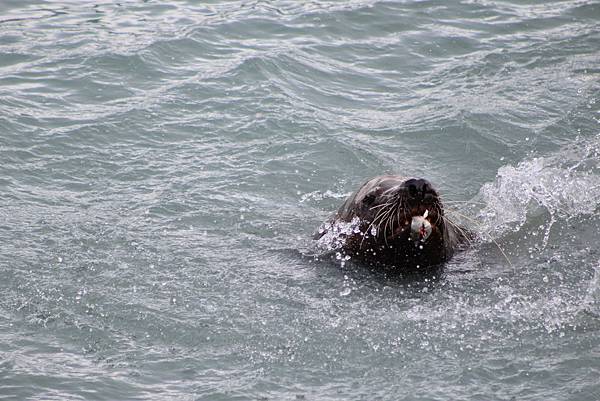 IMG_9272.JPG IMG_9272.JPG