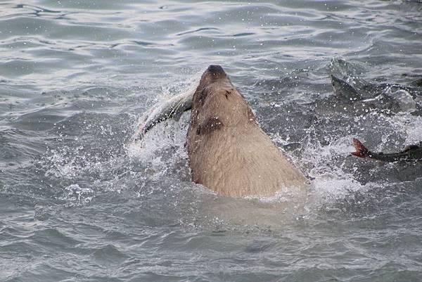 IMG_9291.JPG IMG_9291.JPG