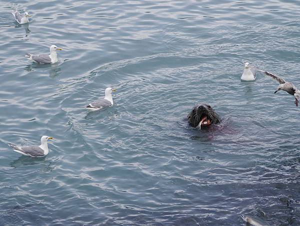 P2590622.JPG P2590622.JPG