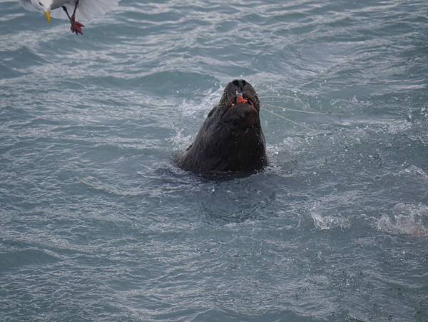 P2590681.JPG P2590681.JPG