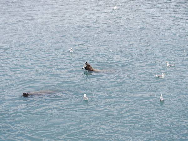 P2590695.JPG P2590695.JPG