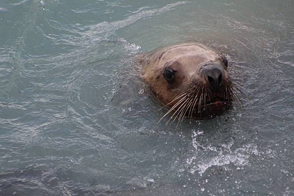 IMG_9252.JPG IMG_9252.JPG