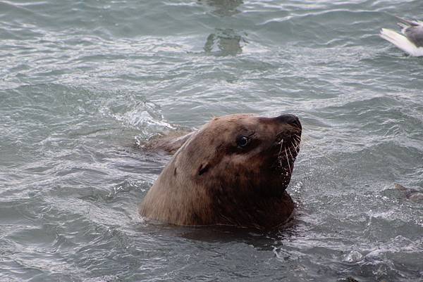 IMG_9274.JPG IMG_9274.JPG