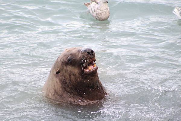 IMG_9275.JPG IMG_9275.JPG