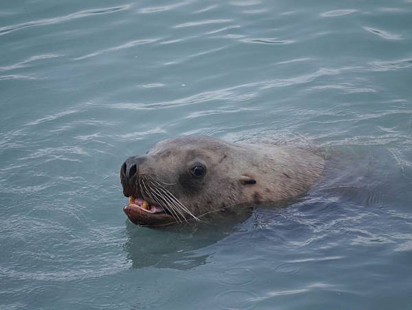 P2590634.JPG P2590634.JPG