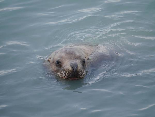 P2590636.JPG P2590636.JPG