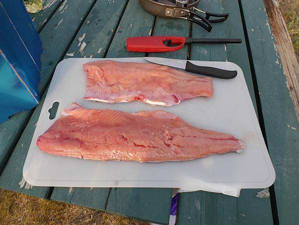 P2590796.JPG P2590796.JPG