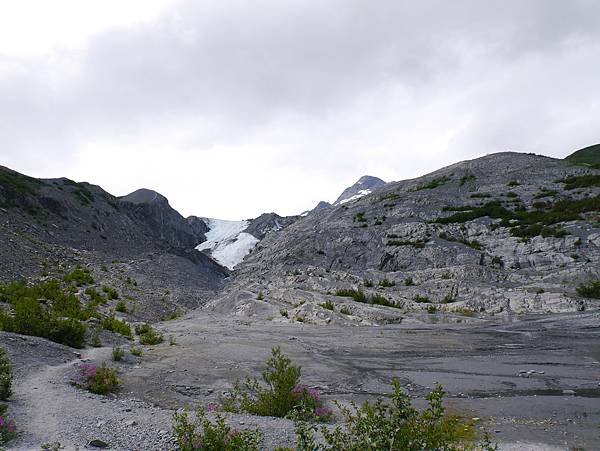 P2590734.JPG P2590734.JPG