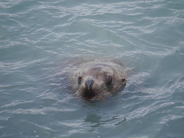 P2590631.JPG P2590631.JPG