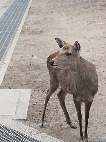 IMG_2199.JPG IMG_2199.JPG