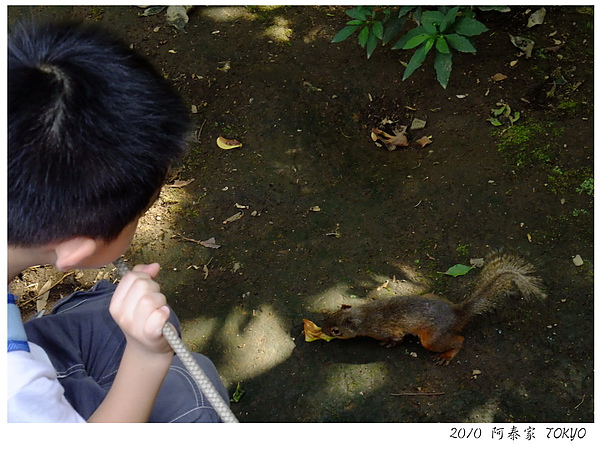 井之頭動物園23.JPG