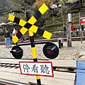 DSC04580.jpg