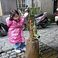 DSC04537.jpg