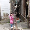 DSC04641.jpg