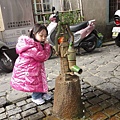 DSC04538.jpg