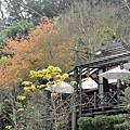 DSC04601.jpg