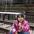 DSC04622.jpg