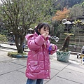 DSC04648.jpg